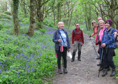 Photo of walkers admiring the bluebells on Eype Down – May 1, 2024
