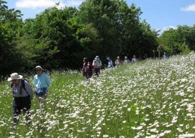 Photo of walkers near Longham Lakes – June 1, 2024