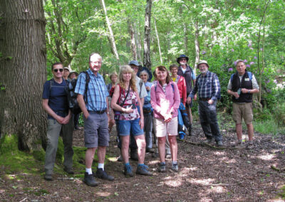 Photo of walkers In woods near Little Canford – June 1, 2024