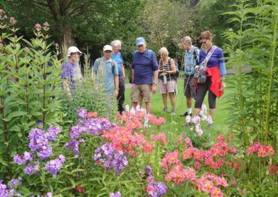 Photo of walkers admiring colourful blooms in Radipole Park Gardens – July 13, 2024