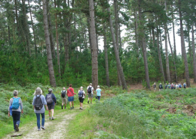 Photo of walkers on the Jubilee Trail through Oakers Wood – August 28, 2024