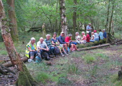 Photo of walking group in woods near Organford – August 31, 2024