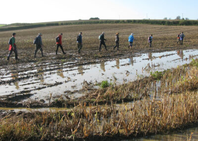 Photo of walkers crossing muddy field – October 19, 2024