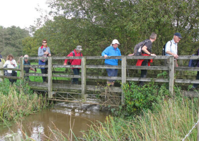 Photo of walkers crossing a bridge on Whitcombe Vale – October 19, 2024