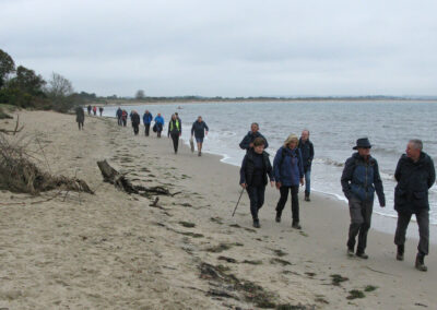 Photo of walkers on Knoll Beach – November 6, 2024