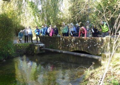 Photo of walkers playing Pooh Sticks over the Bere Stream at Shitterton – November 13, 2024