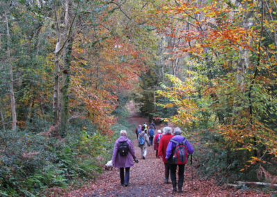 Photo of walkers in Upton Country Park – November 16, 2024