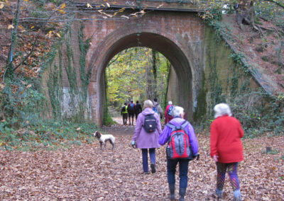 Photo of walkers passing beneath the dismantled Southampton and Dorchester Railway – November 16, 2024