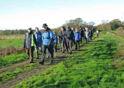 Photo of walkers near Carey – November 20, 2024