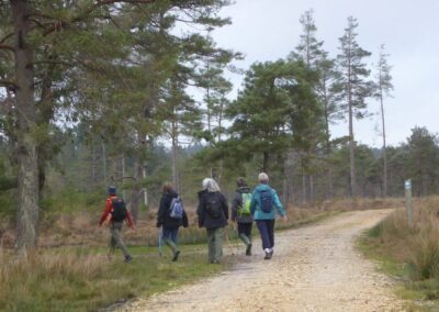 Photo of walkers on the Sika Trail – November 30, 2024