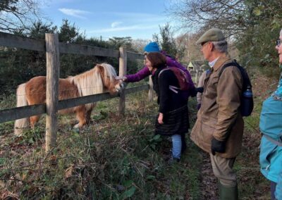 Photo of walkers petting a friendly pony near Gotham – December 14, 2024