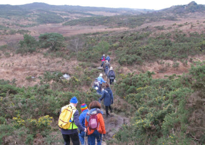 Photo of walkers heading for Agglestone Rock – January 15, 2025