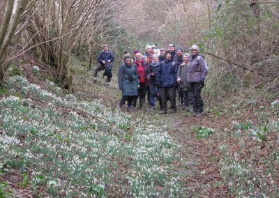 Photo of walkers of the snowdrop walk – February 12, 2025