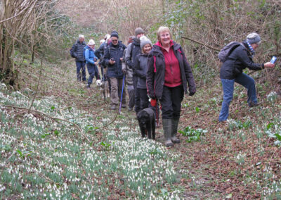 A photo op with yet more snowdrops – February 12, 2025